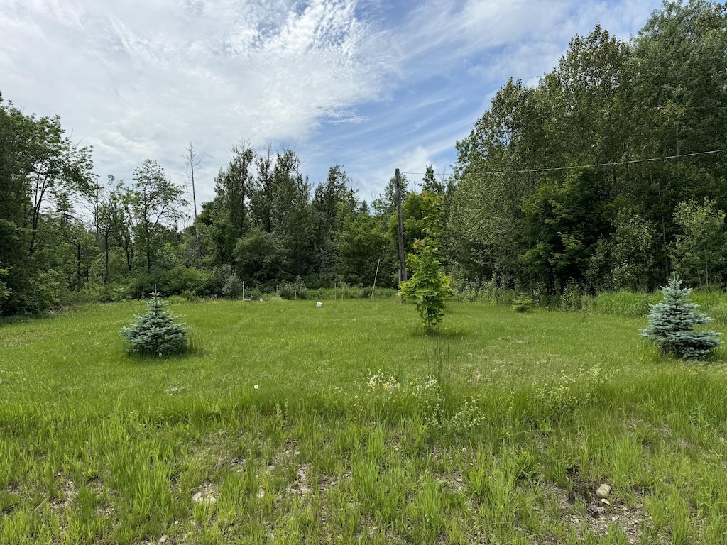 107 Robinson Rd, Blaine, ME 04734 - photo 4