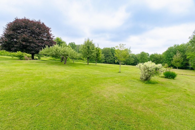 2887 Middle Rd, Sidney, ME 04330 - view of green lawn
