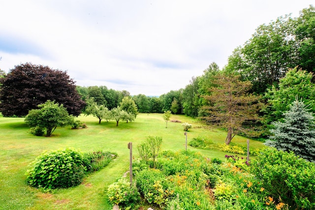 2887 Middle Rd, Sidney, ME 04330 - view of grassy yard