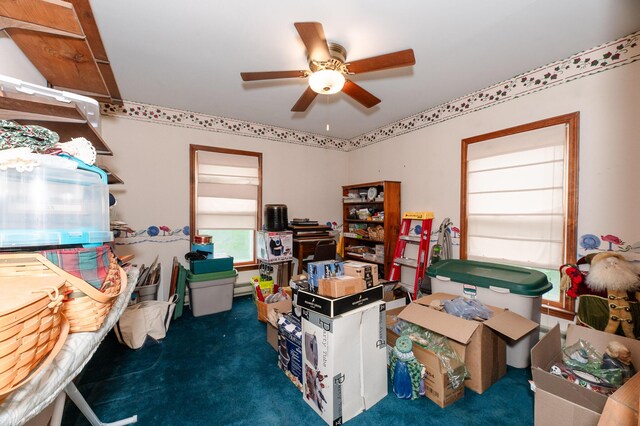 2887 Middle Rd, Sidney, ME 04330 - storage with ceiling fan