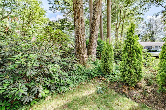 22 Colonial Dr, Kennebunk, ME 04043 - photo 55