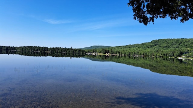 69 Deering Lake Rd, Orient, ME 04471 - photo 3