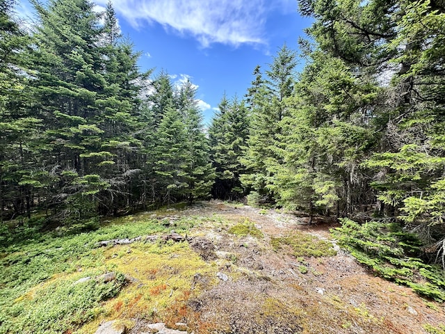 LOT24 Ermine Rd, Sandy River Plt, ME 04970 - photo 11