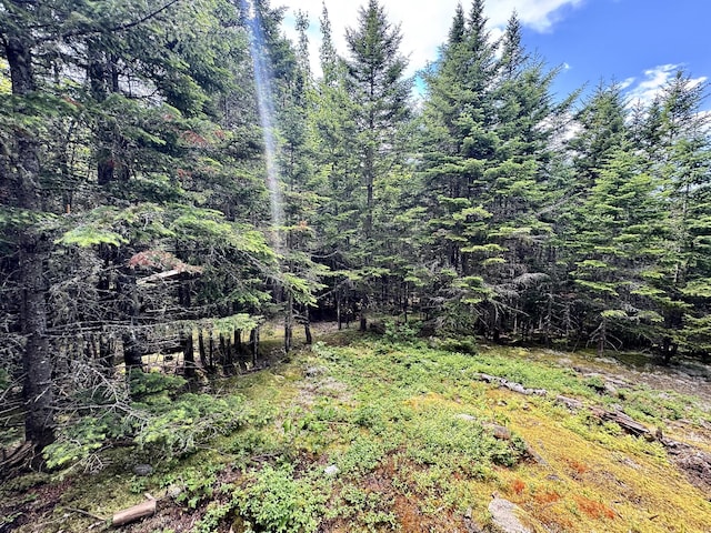 LOT24 Ermine Rd, Sandy River Plt, ME 04970 - photo 13