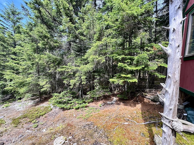 LOT24 Ermine Rd, Sandy River Plt, ME 04970 - photo 14