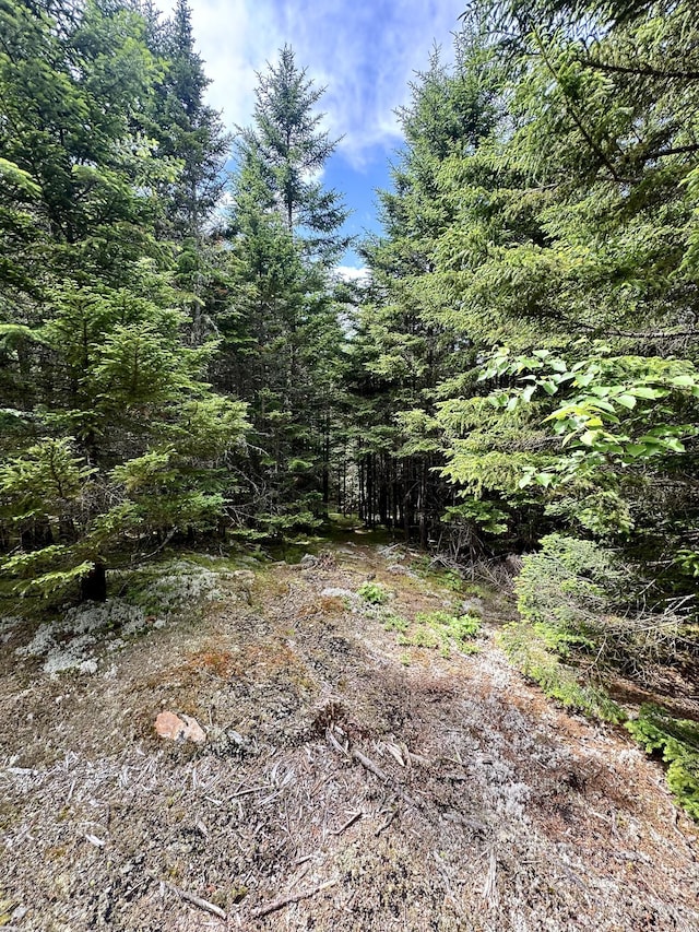 LOT24 Ermine Rd, Sandy River Plt, ME 04970 - photo 15