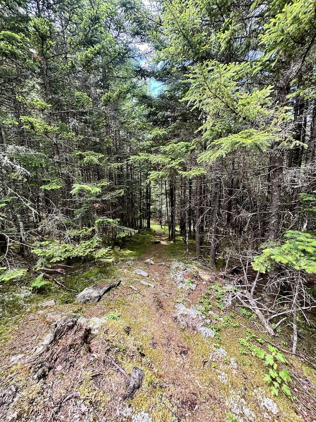 LOT24 Ermine Rd, Sandy River Plt, ME 04970 - photo 17