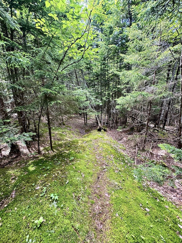 LOT24 Ermine Rd, Sandy River Plt, ME 04970 - photo 18