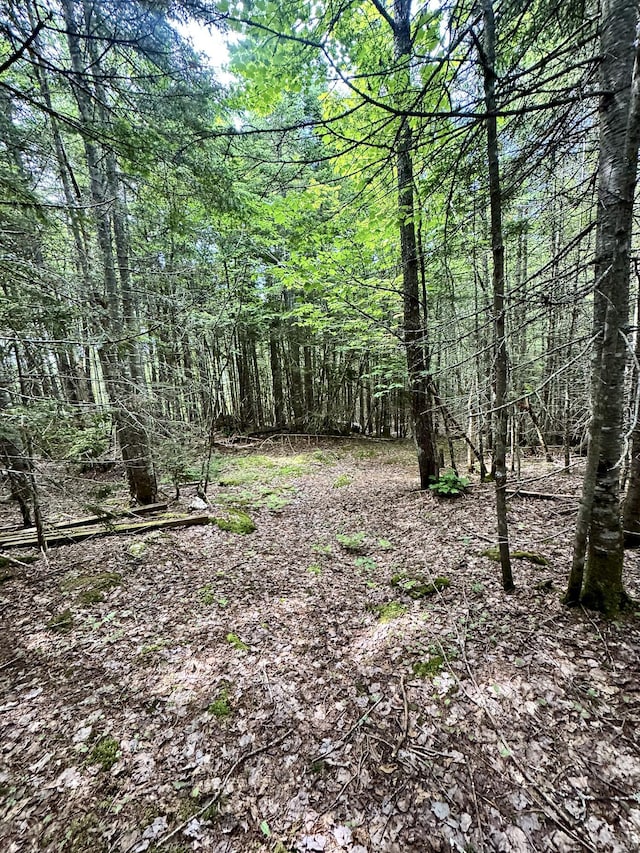 LOT24 Ermine Rd, Sandy River Plt, ME 04970 - photo 19