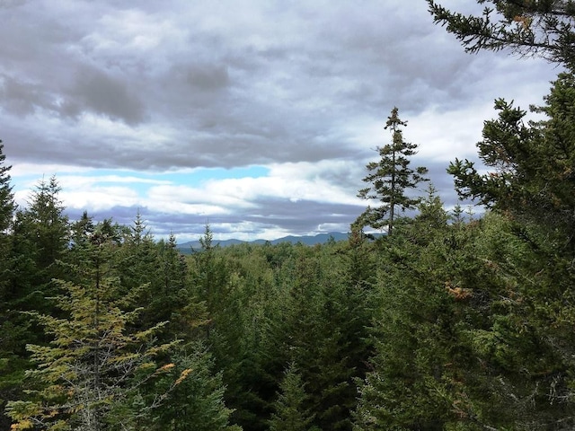 LOT24 Ermine Rd, Sandy River Plt, ME 04970 - photo 2