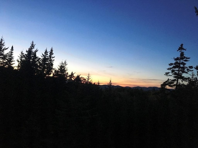 LOT24 Ermine Rd, Sandy River Plt, ME 04970 - photo 3