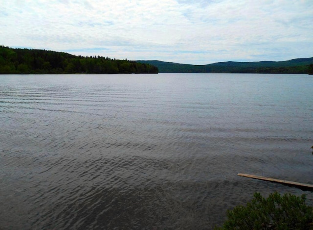 LOT24 Ermine Rd, Sandy River Plt, ME 04970 - photo 23