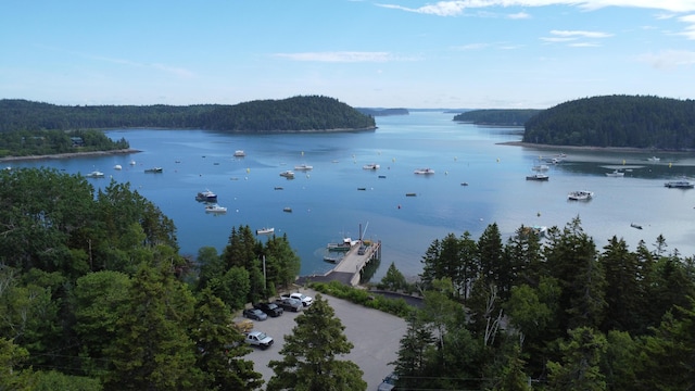 000 Pettegrow Point Rd, Machiasport, ME 04655 - photo 16