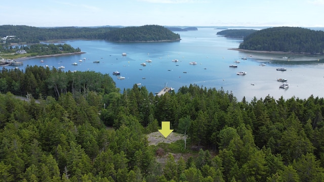 000 Pettegrow Point Rd, Machiasport, ME 04655 - photo 1