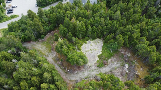 000 Pettegrow Point Rd, Machiasport, ME 04655 - photo 7