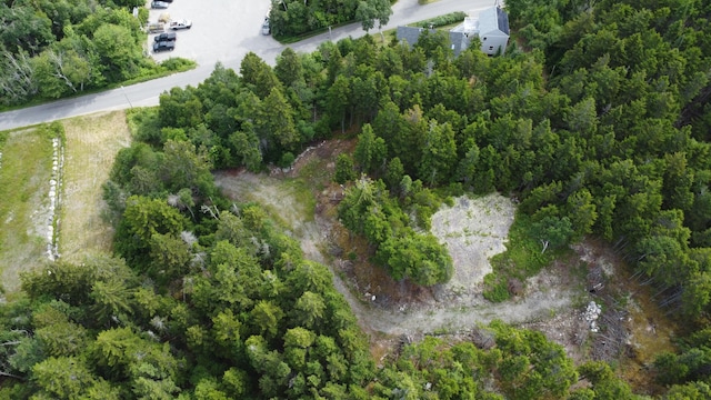 000 Pettegrow Point Rd, Machiasport, ME 04655 - photo 8