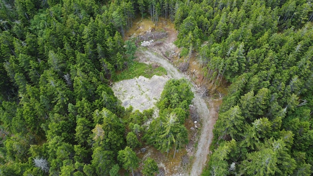 000 Pettegrow Point Rd, Machiasport, ME 04655 - photo 9