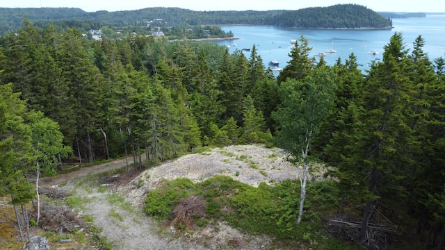 000 Pettegrow Point Rd, Machiasport, ME 04655 - photo 12