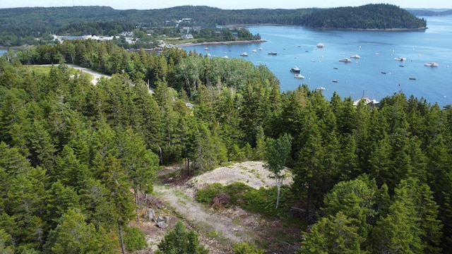 000 Pettegrow Point Rd, Machiasport, ME 04655 - photo 10