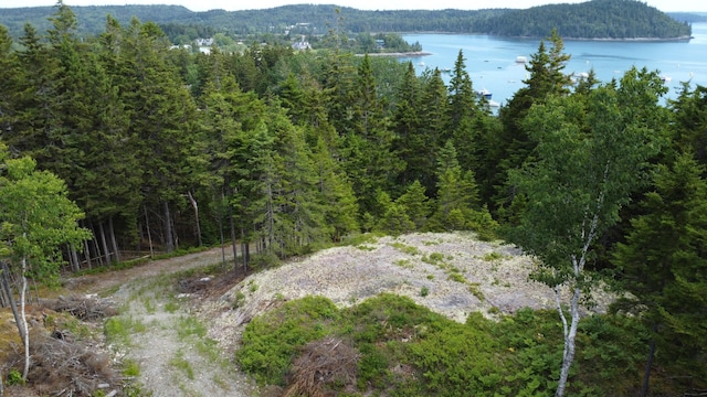 000 Pettegrow Point Rd, Machiasport, ME 04655 - photo 13