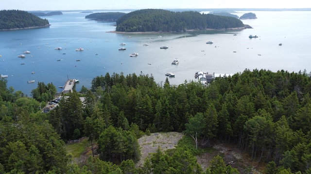 000 Pettegrow Point Rd, Machiasport, ME 04655 - photo 11
