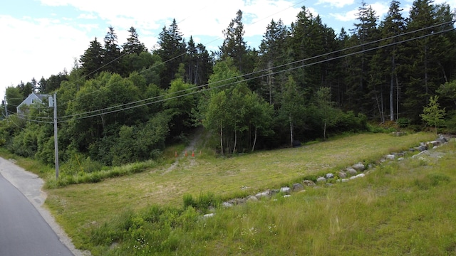 000 Pettegrow Point Rd, Machiasport, ME 04655 - photo 15