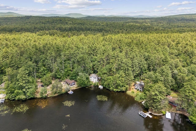 0 Island Dr, Newfield, ME 04095