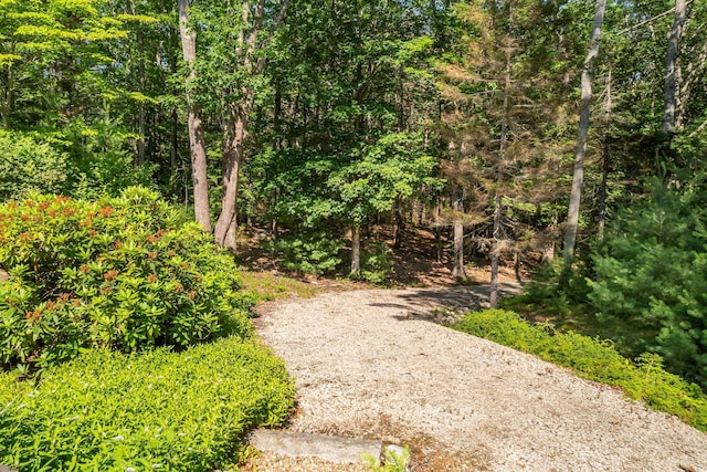 109 Pine Hill Rd, York, ME 03902 - photo 40