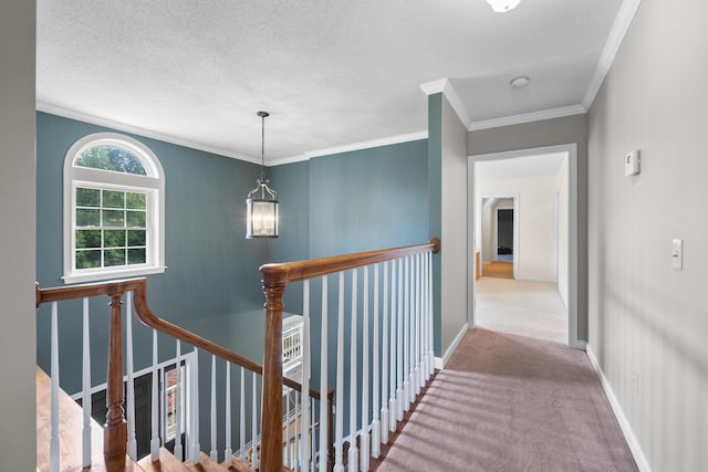 3 Village Dr, Corinth, ME 04427 - photo 24