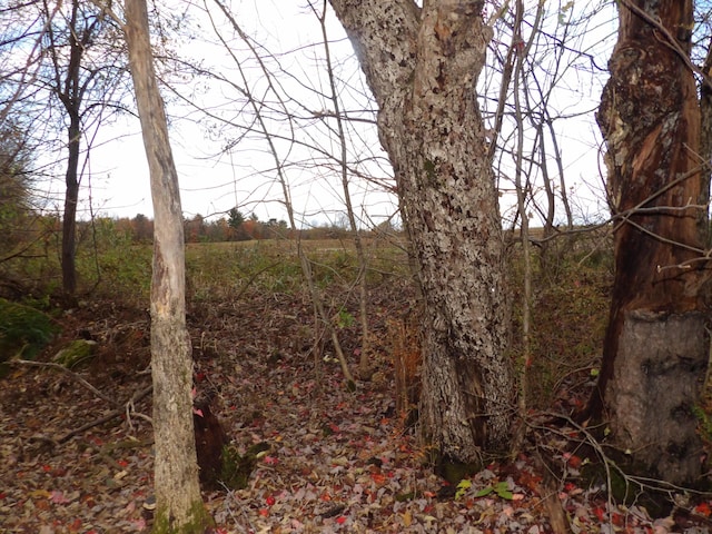38 Atkinson Rd, Charleston, ME 04422 - view of undeveloped land