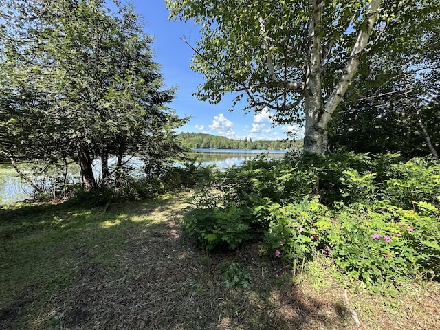 52 E E Conroy Lake Rd, Monticello, ME 04760 - photo 10