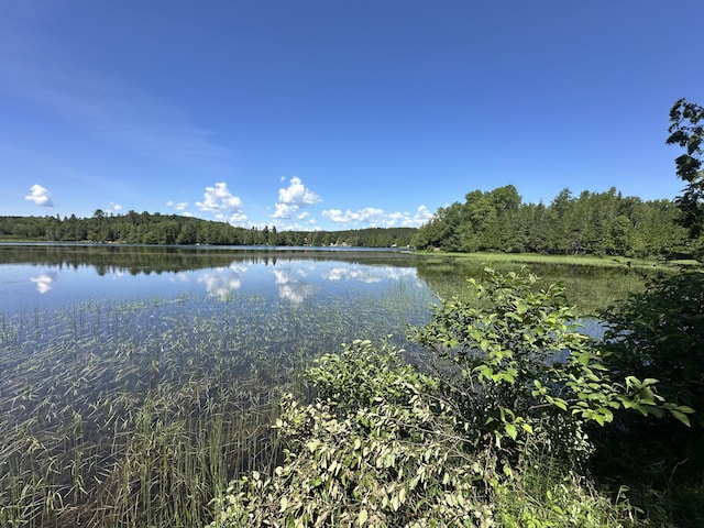 52 E E Conroy Lake Rd, Monticello, ME 04760 - photo 17