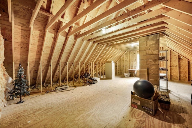 21 Bowling Green Ln, Belfast, ME 04915 - view of unfinished attic