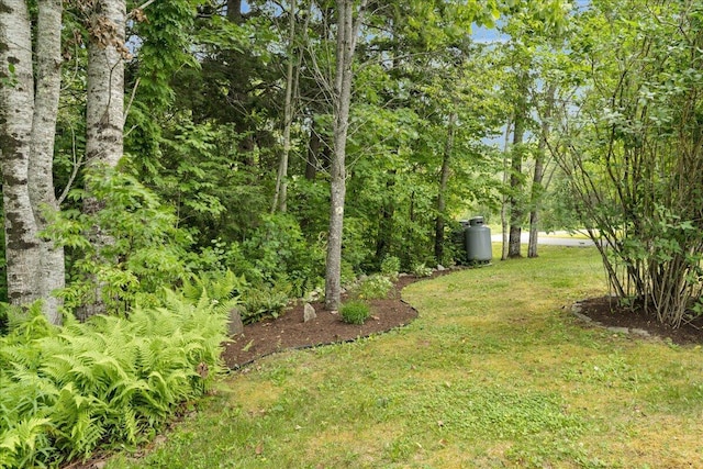 21 Bowling Green Ln, Belfast, ME 04915 - view of grassy yard