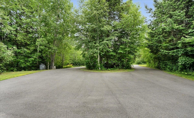 21 Bowling Green Ln, Belfast, ME 04915 - view of asphalt street
