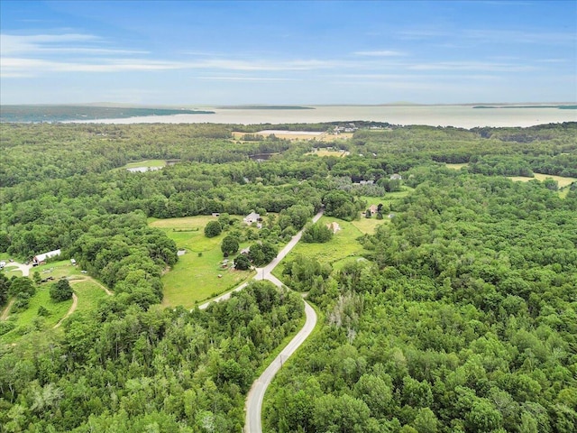 21 Bowling Green Ln, Belfast, ME 04915 - aerial view of a large body of water and a forest