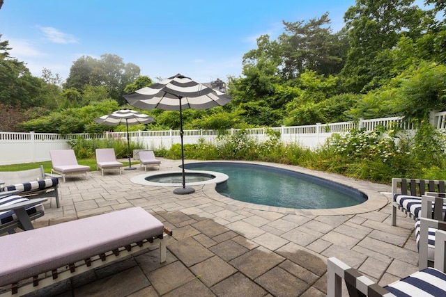 17 Intervale Rd, York, ME 03902 - view of swimming pool with a patio, a fenced backyard, and a pool with connected hot tub