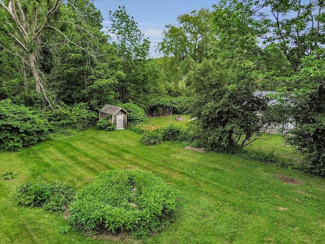 21 Summer St, Bucksport, ME 04416 - photo 4