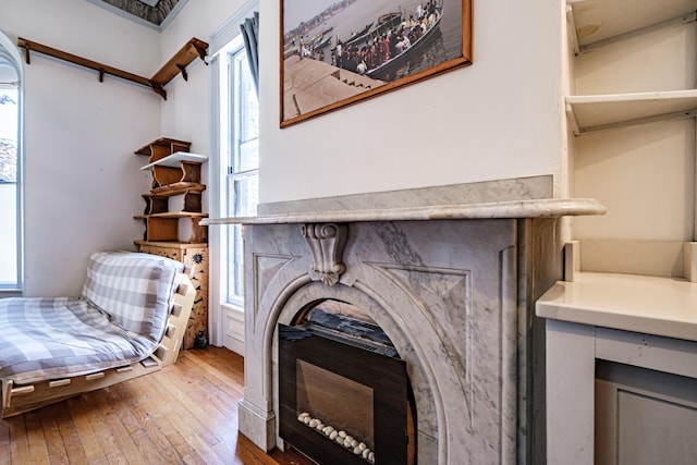 12 Deering St Unit 1, Portland, ME 04101 - living room featuring hardwood / wood-style floors and a fireplace