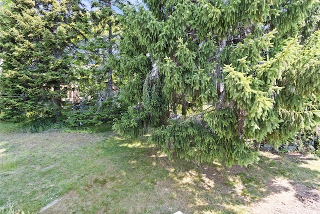 12 Merriam St, Portland, ME 04108 - photo 44