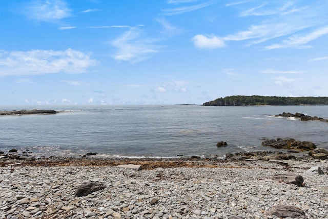 12 Merriam St, Portland, ME 04108 - photo 46