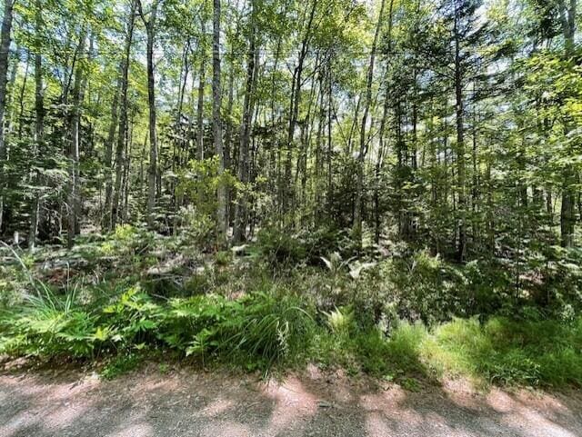 LOT23 Sunset Point Rd, Steuben, ME 04680