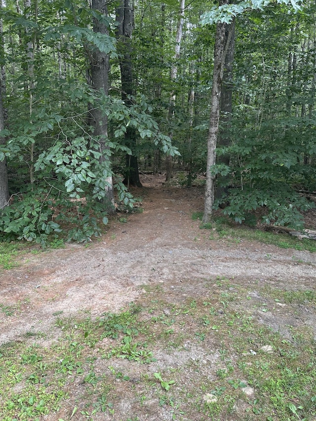 11 Deer Trail Ln, Berwick, ME 03901 - photo 48