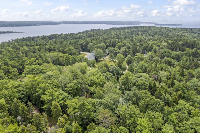 94 Crest Ave, Boothbay Harbor, ME 04538 - drone / aerial view of a large body of water