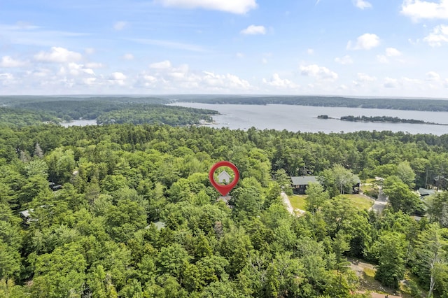 94 Crest Ave, Boothbay Harbor, ME 04538 - aerial view of a forest and a nearby body of water