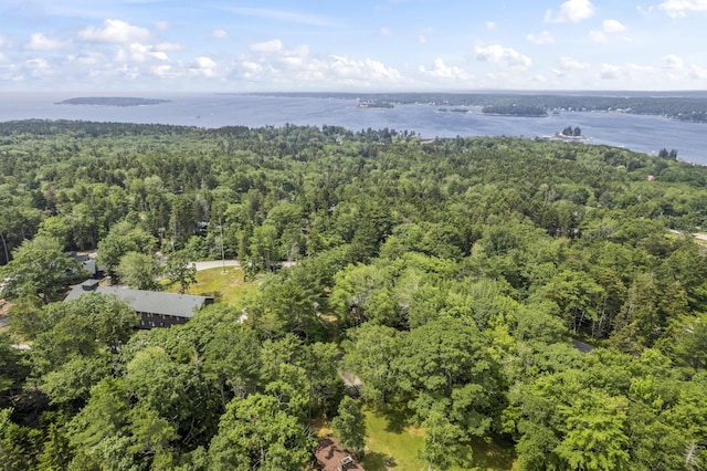 94 Crest Ave, Boothbay Harbor, ME 04538 - aerial view of property's location featuring a forest and a large body of water