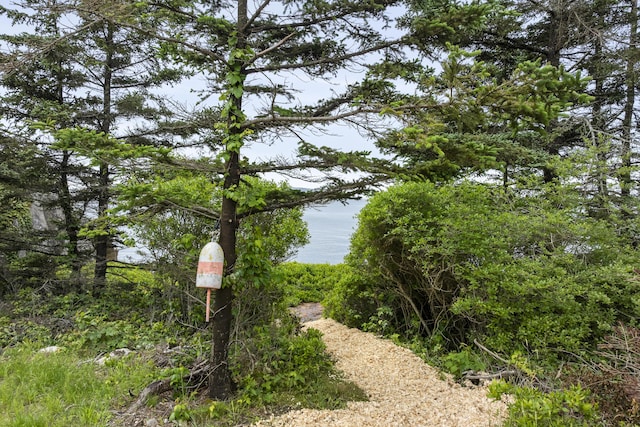 86 City Point Rd, Vinalhaven, ME 04863 - water view