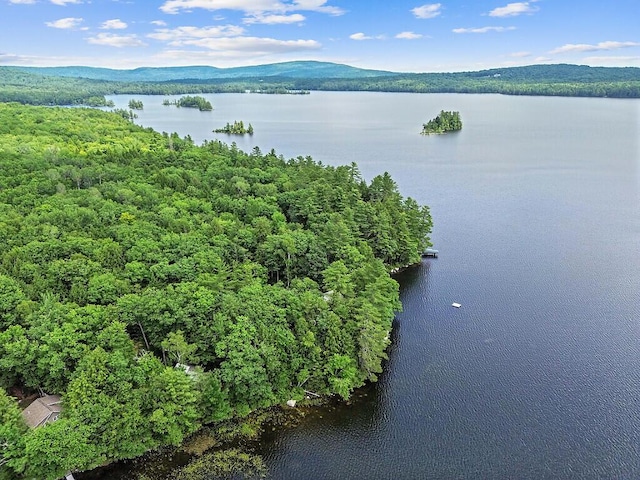 91 Diller Line, Chesterville, ME 04938 - photo 1