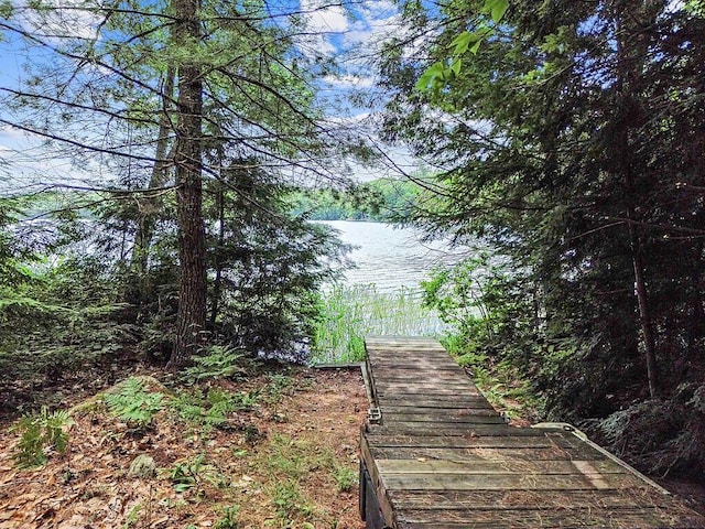 91 Diller Line, Chesterville, ME 04938 - photo 3