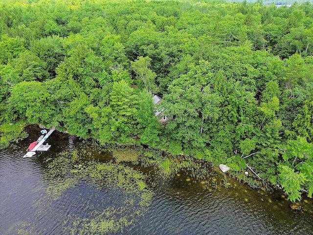 91 Diller Line, Chesterville, ME 04938 - photo 43